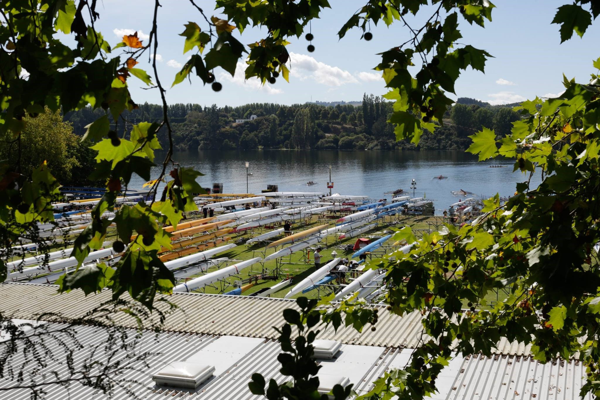 Rowing